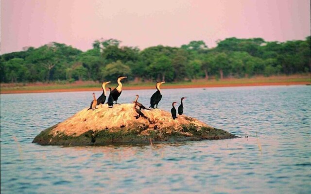 Chaminuka Lodge and Nature Reserve