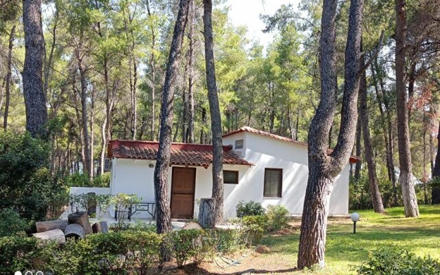 Villa Anty-for Rest and Relaxation