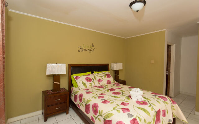 New Kingston Guest Apartment V