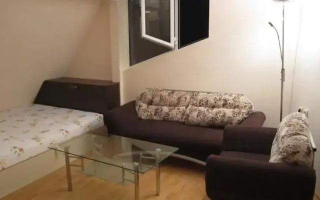 Fennec Fox Apparment