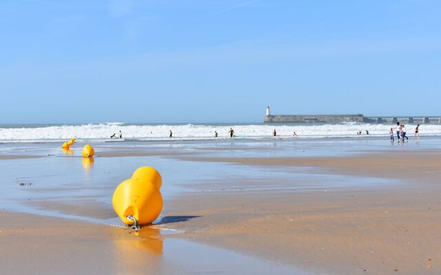 Oasis parcs - Jardins des Sables d'Olonne