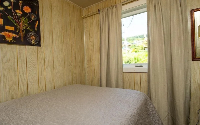 Aster Cabin