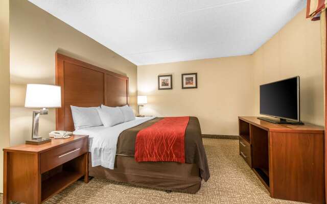 Comfort Inn & Suites Denver