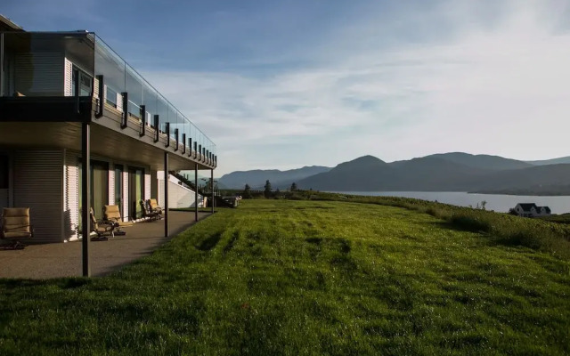 Therapy Vineyards