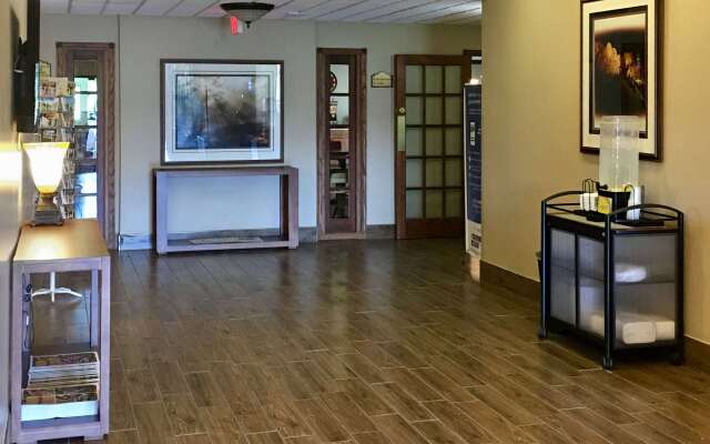 Comfort Inn And Suites Custer