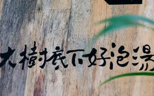 Ketangjian Mogan Mountain Hotel Spring Theme Hotel
