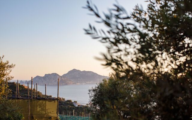 Il Nido del Gabbiano