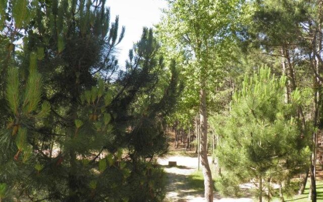 Rincon De Las Pampas