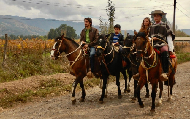 Hotel Boutique Raíces de Colchagua