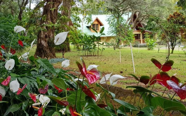 Casa Camila
