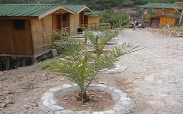 Tree Houses