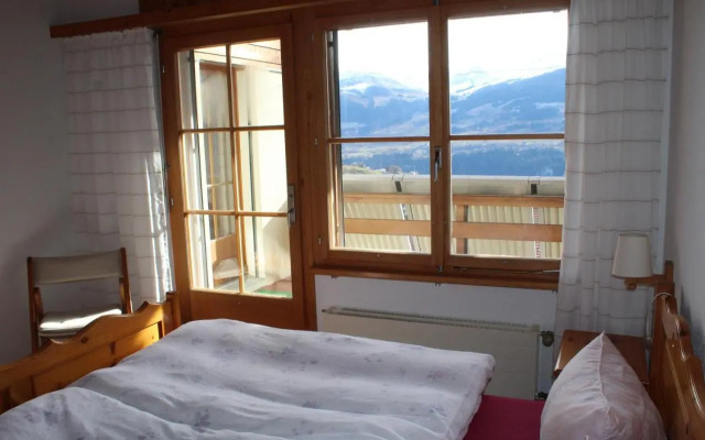 Arnika Montana