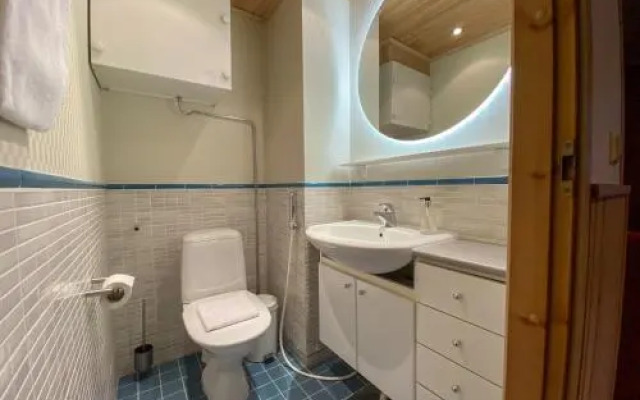 Levin Alppitalot Alpine Chalets Deluxe