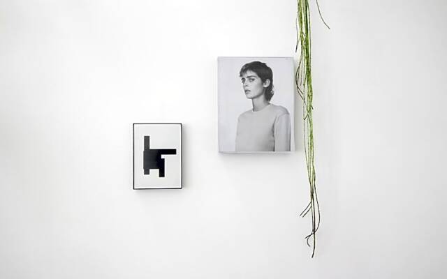 Beautiful 2 Floor Vondelpark Apartment.