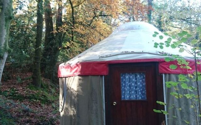 Yurtcamp Devon