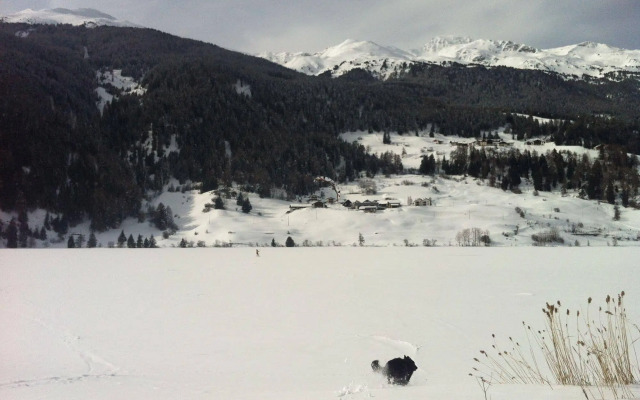 Hotel Sparerhof