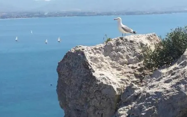 Ilm Cagliari