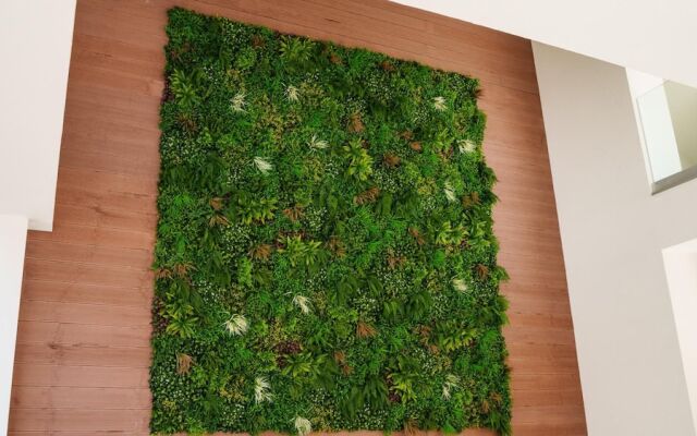 Welcomely - Deluxe Room - Amii Stewart