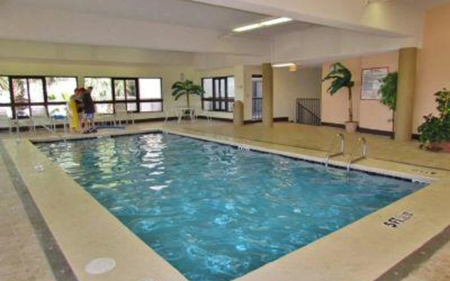 Palms 513 by Youngs Suncoast