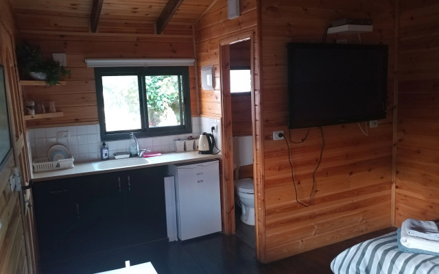 Assaf's Cabin