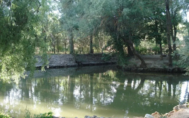 El Rincon del Labrador