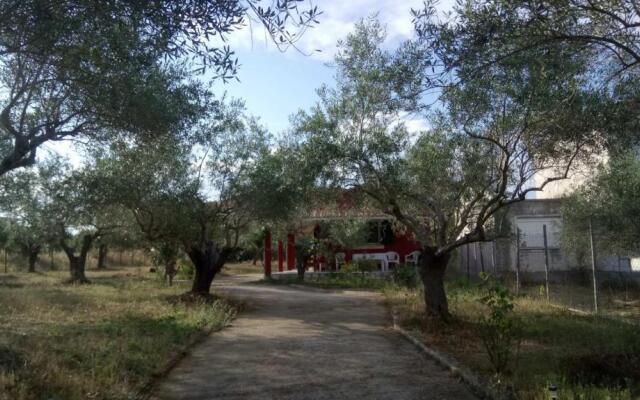Eva's House