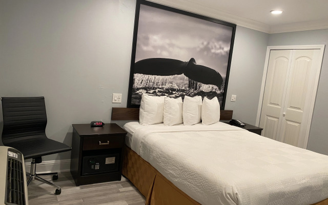 Aura Inn Monterey