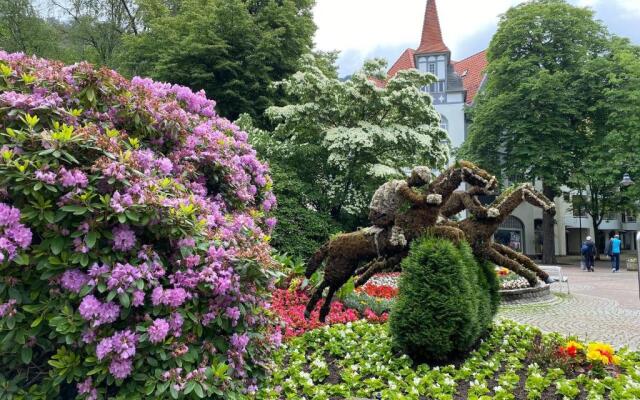 Ferienwohnung HarZBurg