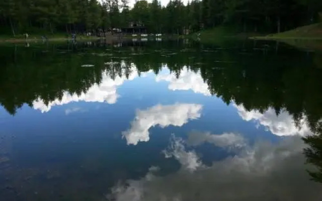 Albergo Ristorante Capriolo