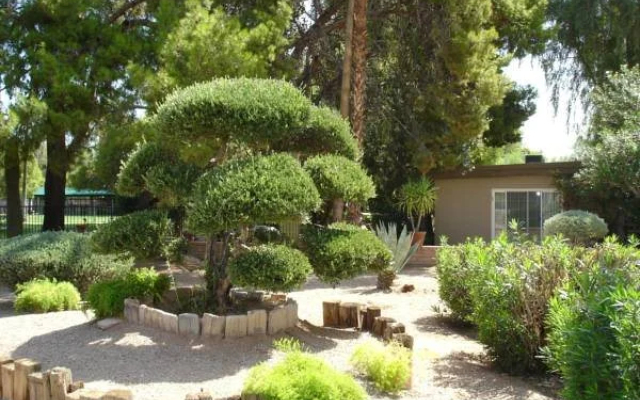 SmokeTree Resort and Bungalows