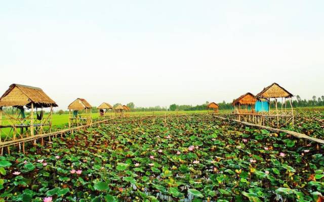 Hai Lua Homestay (Lotus Lake Homestay)