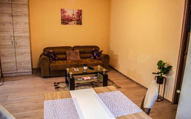 Schäßburg apartment #1