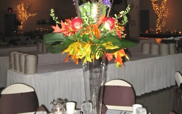 Alma Comfortable Inn