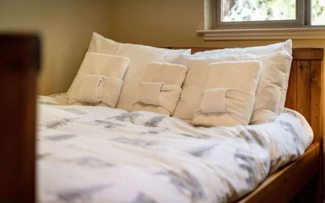 Heavenly Mountain Chalet - Skiing, Pets, Hot tub