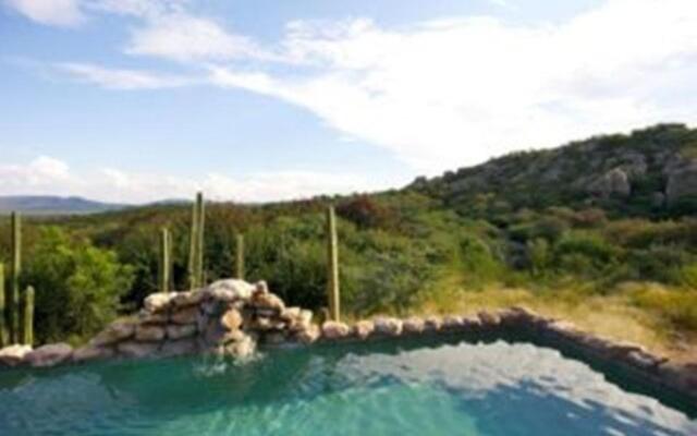 Sasa Safari Camp