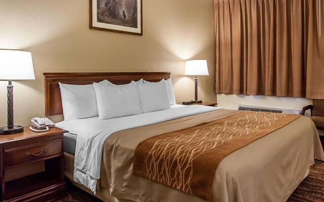Comfort Inn & Suites Branson Meadows