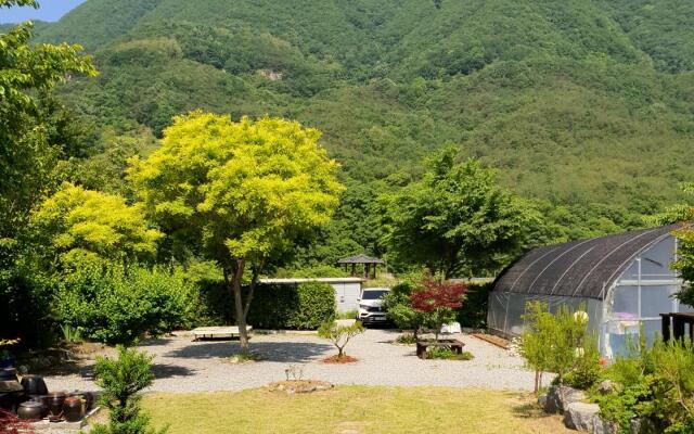 danyang deulggochyanggi