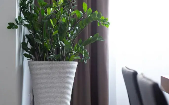 Syntagma Spotlight Residence