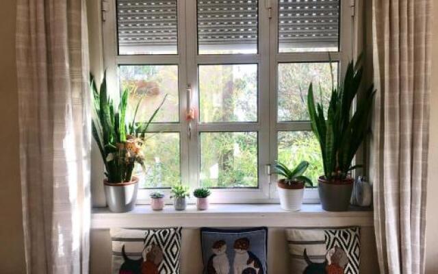 Antas Cozy House