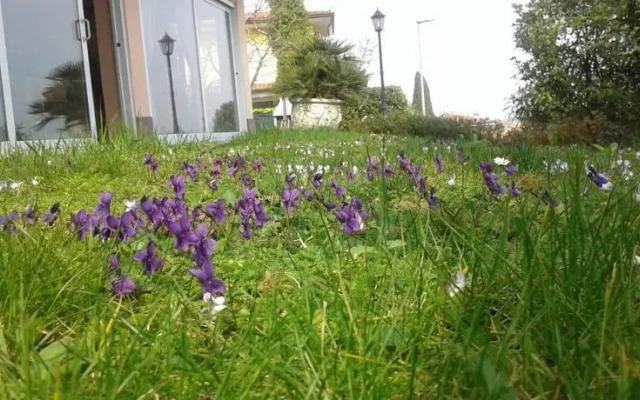Villa La Quercia