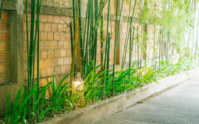The Odyssey Serviced Apartment