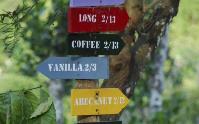 Tranquil Resort Wayanad