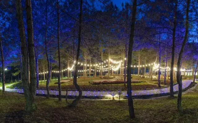 Kim Resort - Khu Nghĩ Dưỡng Rừng Lá Kim