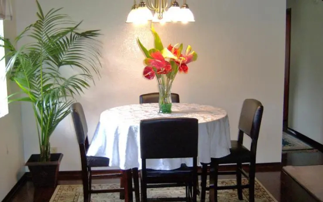 Halias Hideaway - Apartment in Volcano - Photo 4