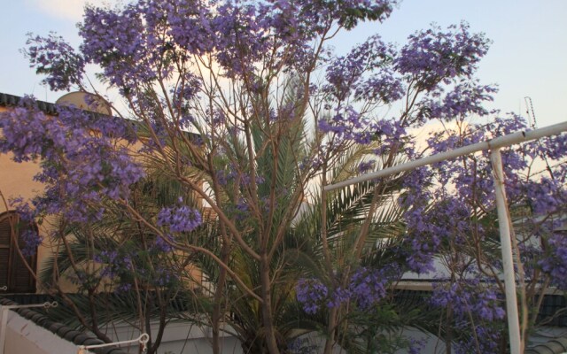Riad O-ly