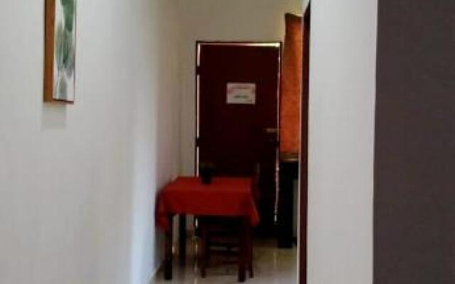 Belebar Studio Room Taman Negara Pahang Malaysia