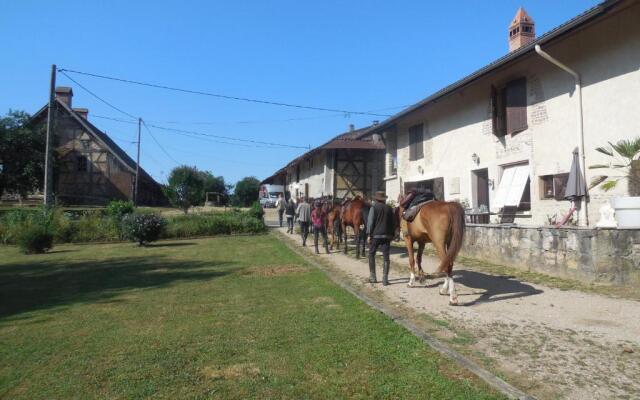 chambre d’hôtes la jument grise