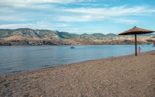 Olive Mobile Home Terra Park SpiritoS