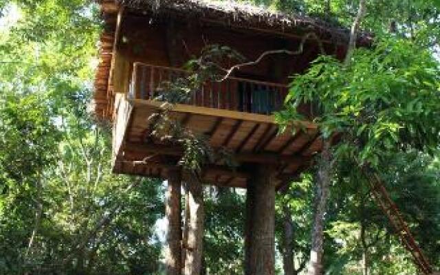 Tree House-Midigama