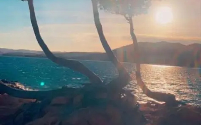 Palombaggia location i pini